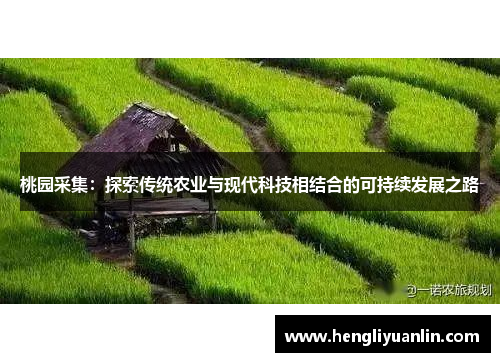 桃园采集：探索传统农业与现代科技相结合的可持续发展之路